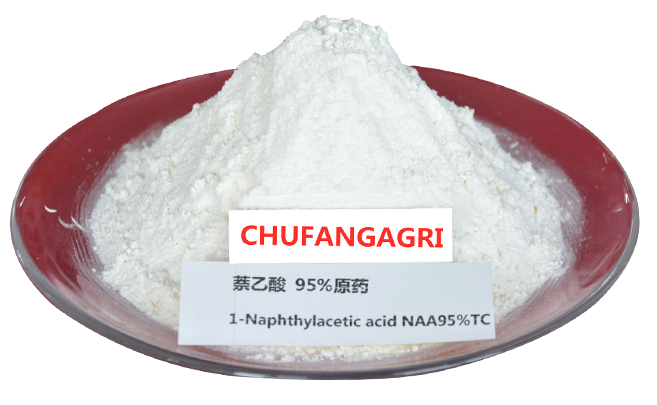 Naphthaleneacetic-acid-3