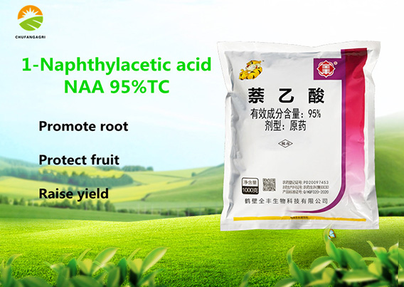 Naphthaleneacetic-acid-5
