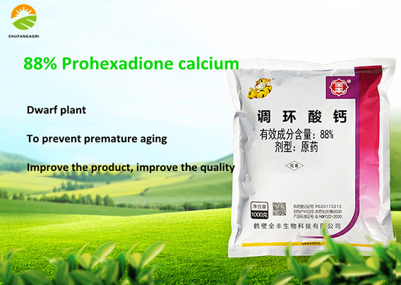 Prohexadione-Calcium-5